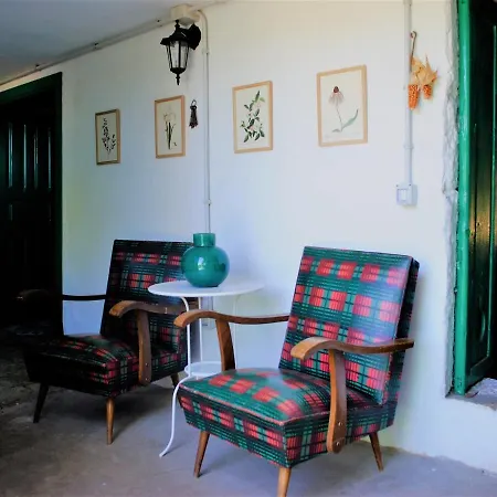 El Castano * Las Palmas de Gran Canaria